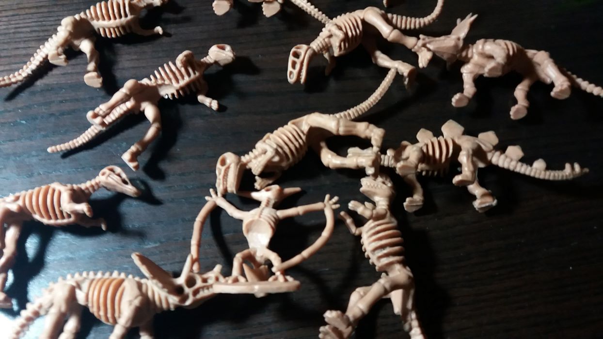 skelett03.jpg